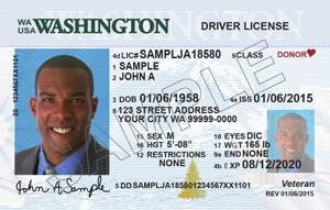 how do i run a drivers license check